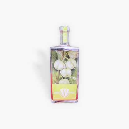 Native Lemon Aspen Gin